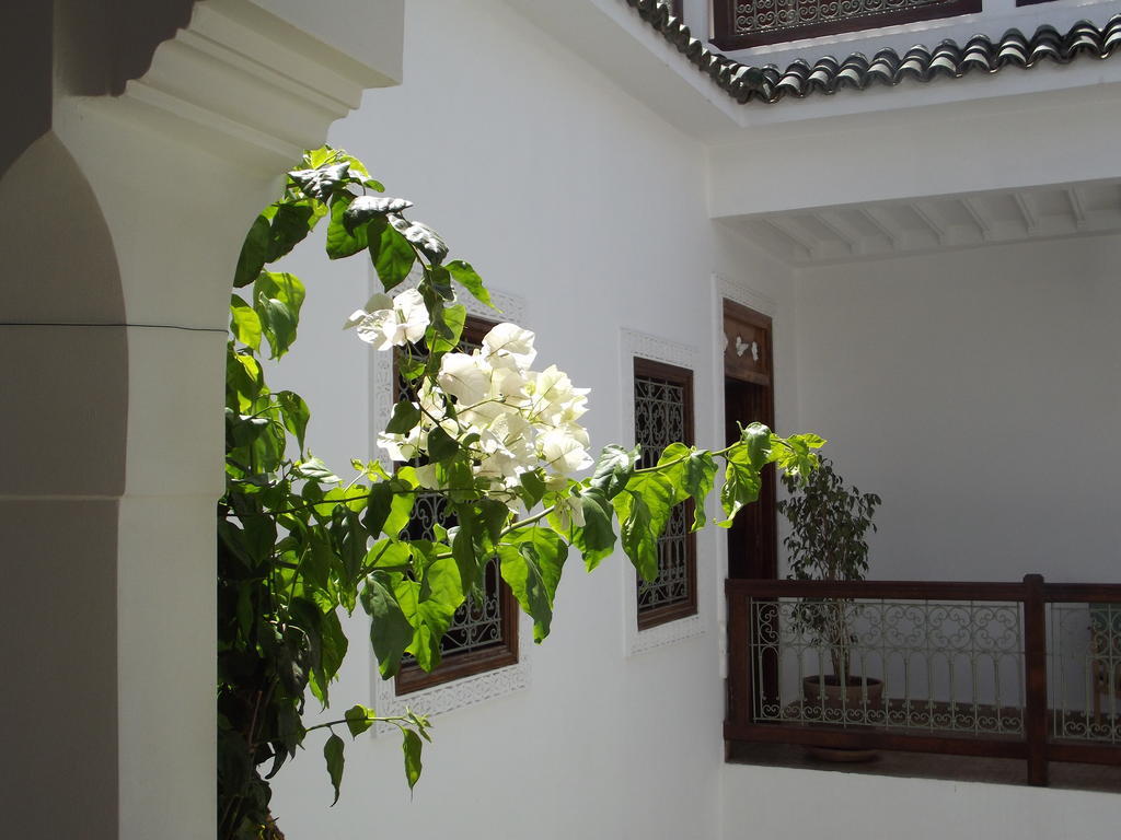 Riad Les Bougainvilliers Marrakesh Eksteriør billede